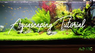 Step by Step Aquascaping Tutorial 200L [upl. by Irved236]