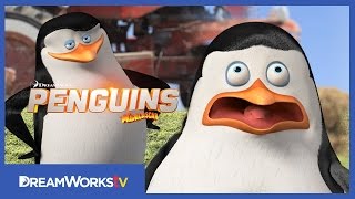 Penguins of Madagascar  Doris the Dolphin Poem [upl. by Enilrac]