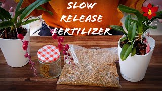 Slow Release Fertilizer with Orchids  How amp why I use it results amp more [upl. by Bradway677]