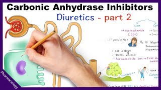 Pharmacology  Diuretics Part 2  Carbonic Anhydrase Inhibitors [upl. by Ollehto]