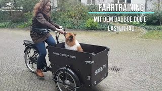 Babboe Dog E Lastenrad  Fahrtraining mit Hund [upl. by Calloway841]