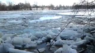 Ice Jam on the Maumee River Breaks Up  February 24 [upl. by Dahsar]