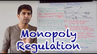 Y2 28 Competition Policy  Monopoly Regulation [upl. by Metts]