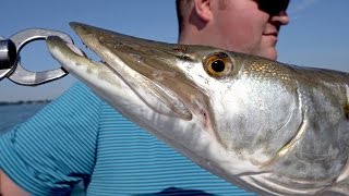 Muskie Fishing on Lake St Clair [upl. by Denbrook]