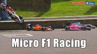 TOO COOL  FORMULA 1 F1 GRAND PRIX MICRO RC RACING CARS [upl. by Dimphia740]