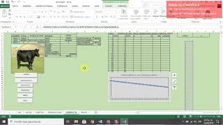 plantilla de excel para administración de una empresa de producción ganadera [upl. by Eisej]