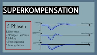 Superkompensation  Verlauf Erklärung Ablauf und Tipps für Trainer Coaches Sportler amp Athleten [upl. by Iggam]