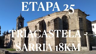 Etapa 25 Triacastela  Sarria 18km [upl. by Veron]