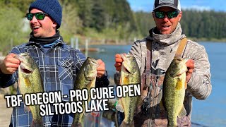 TBF Oregon Bass Tournament  ProCure Open  Siltcoos Lake [upl. by Asillam]