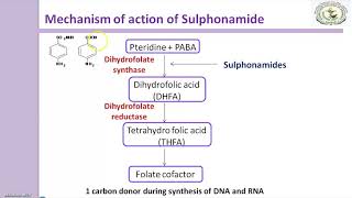 Sulfonamides Mechanism of action [upl. by Iruy844]