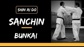 Sanchin Kata Bunkai [upl. by Hsan606]