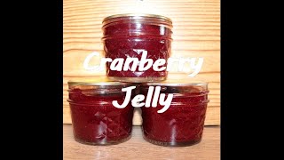 Cranberry Jelly [upl. by Gnuj164]