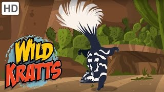 Wild Kratts  You Have Been Skunked [upl. by Mou976]