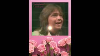 David Cassidy [upl. by Yenduhc]