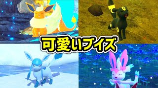 Newポケモンスナップに登場する可愛いブイズまとめ [upl. by Neras]