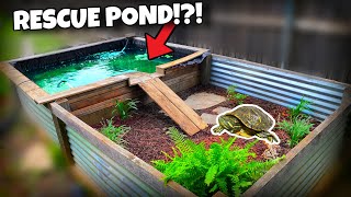 Rescue Pond Gets Makeover Rescue Turtle Enclosure [upl. by Coulson727]